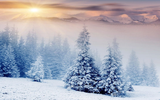 1640684026490894.png 雪景