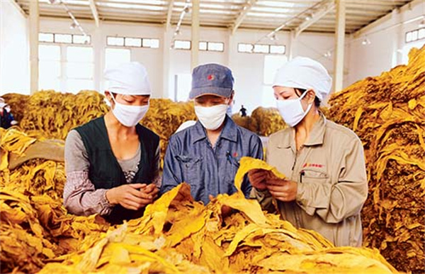 煙葉分級燈箱的色溫和顯色指數是多少？