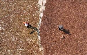 色差寶在油茶黄瓜视频软件APP中的應用