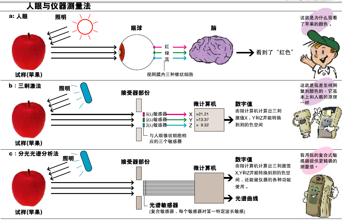 黄瓜视频污版的分光型與三刺激值型哪個更好？