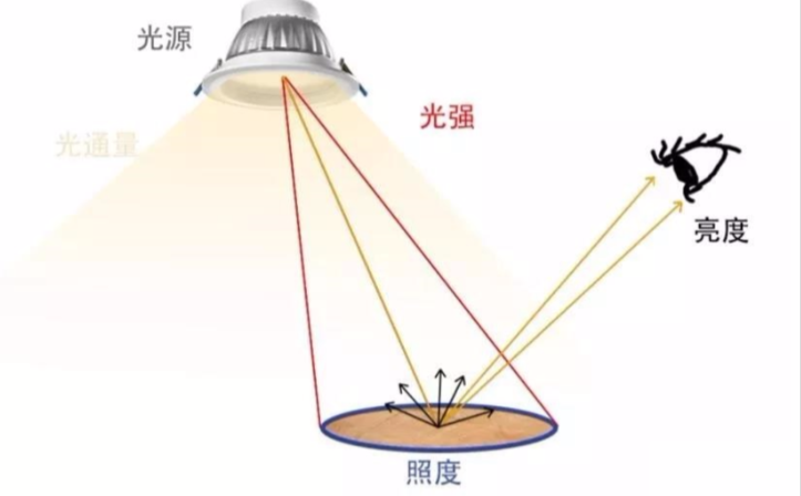 勒克斯：照度的度量單位